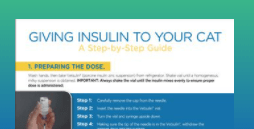 Giving insulin to your cat step by step guide