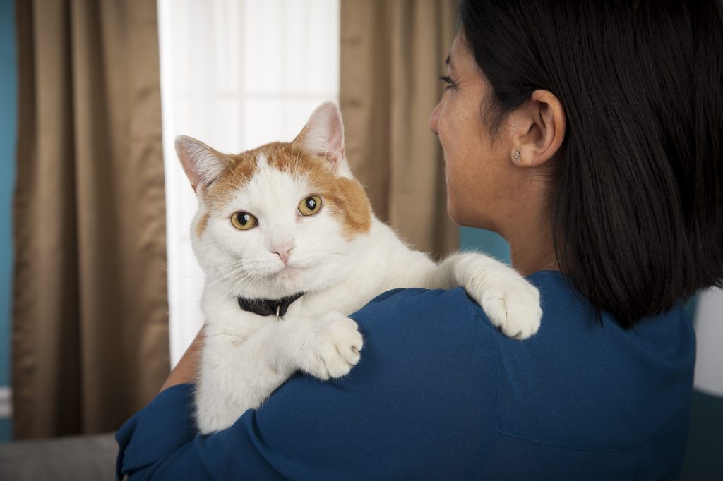 Woman holding cat across her shoulder.