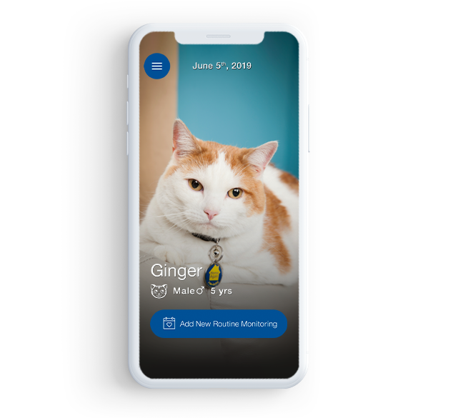 Phone showing cat Ginger for VETSULIN®'s diabetes tracker.