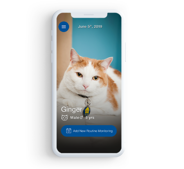 Pet Diabetes Tracker Mobile App Vetsulin