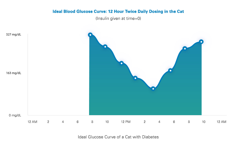 Blue graph of ideal blood glucose curve of a cat with diabetes.