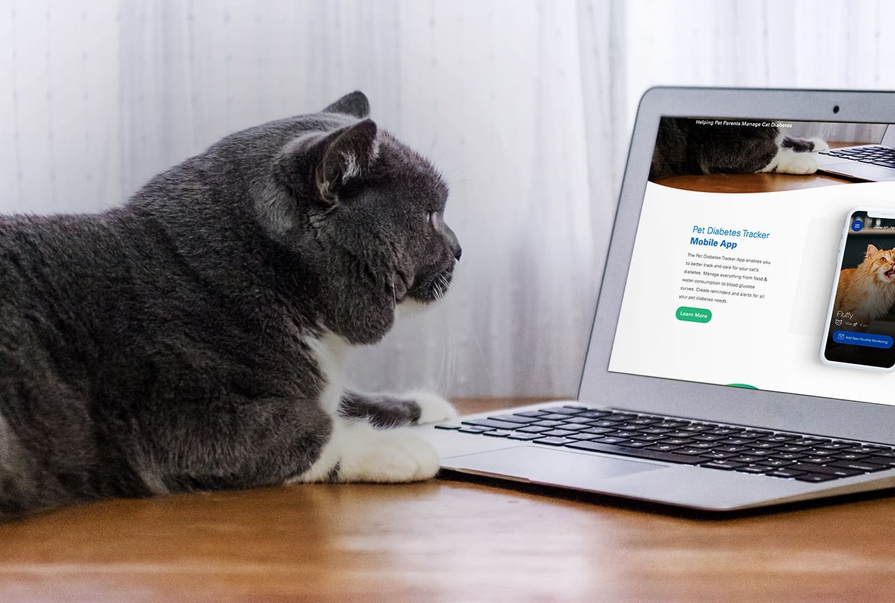 Cat looking at computer that is open on page about pet diabetes tracker mobile app.