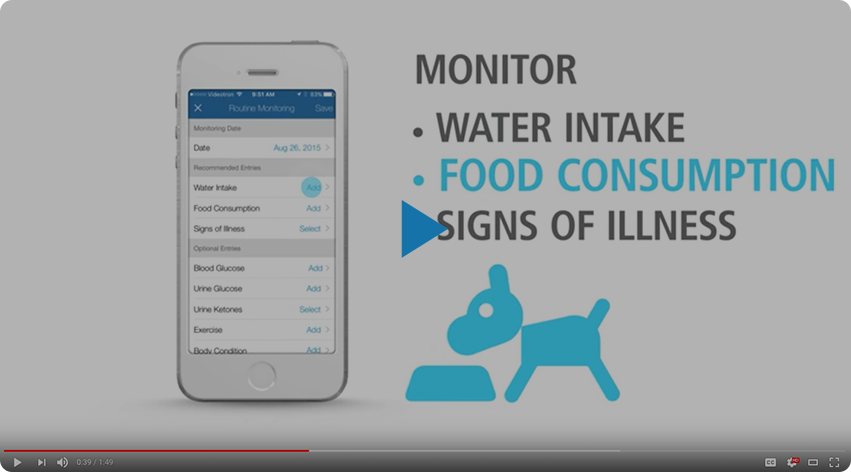 Video of monitoring water intake, food consumption, and signs of illness