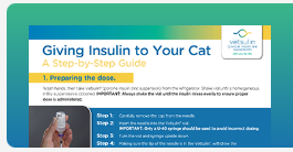 Giving insulin to your cat step by step guide