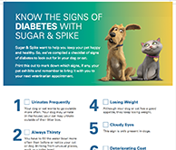 Blue and green signs of diabetes infographic featuring Spike and Sugar.