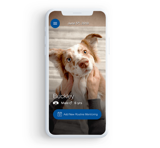 Phones showing dog Buckley for VETSULIN®'s diabetes tracker.