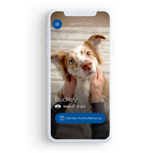 Phones showing dog Buckley for VETSULIN®'s diabetes tracker.