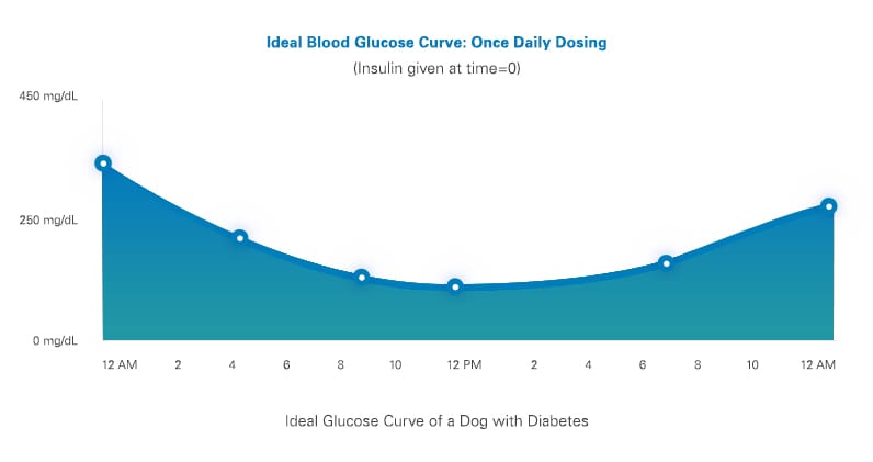 Blue graph of ideal blood glucose curve of a dog with diabetes.