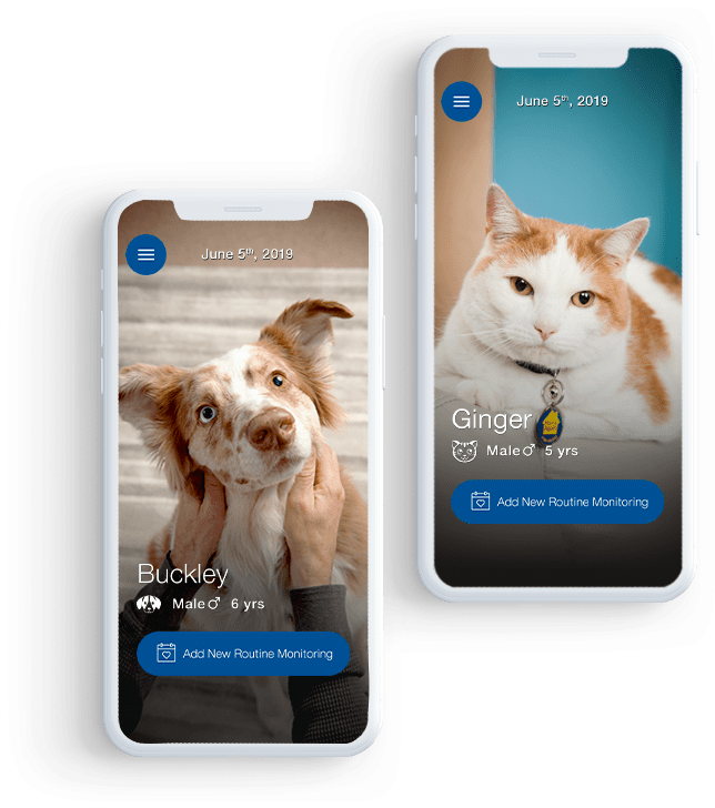 Two mobile phones showing dog Buckley and cat Ginger for VETSULIN®'s diabetes tracker.