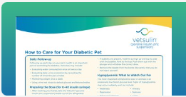 How to care for your diabetic pet infographic