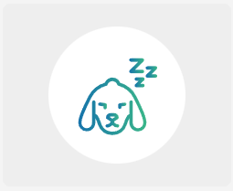 Blue and green sleepy dog icon.
