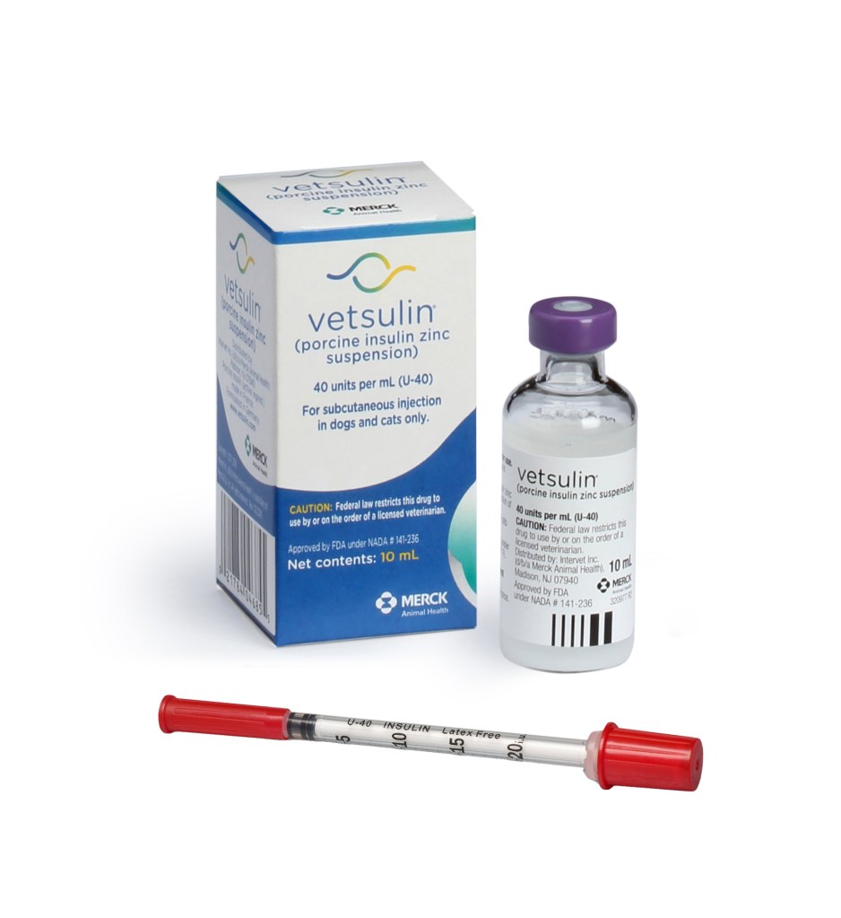 U-40 Insulin Syringe