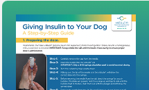 Giving insulin to your dog infographic.