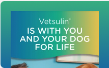 Vetsulin is with you and your dog for life.