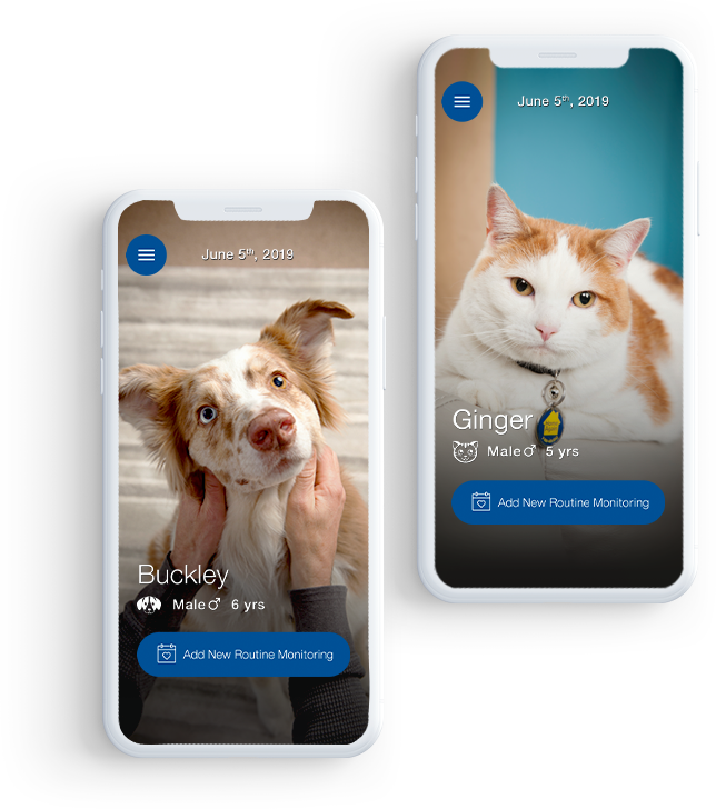 Two mobile phones showing dog Buckley and cat Ginger for VETSULIN®'s diabetes tracker.